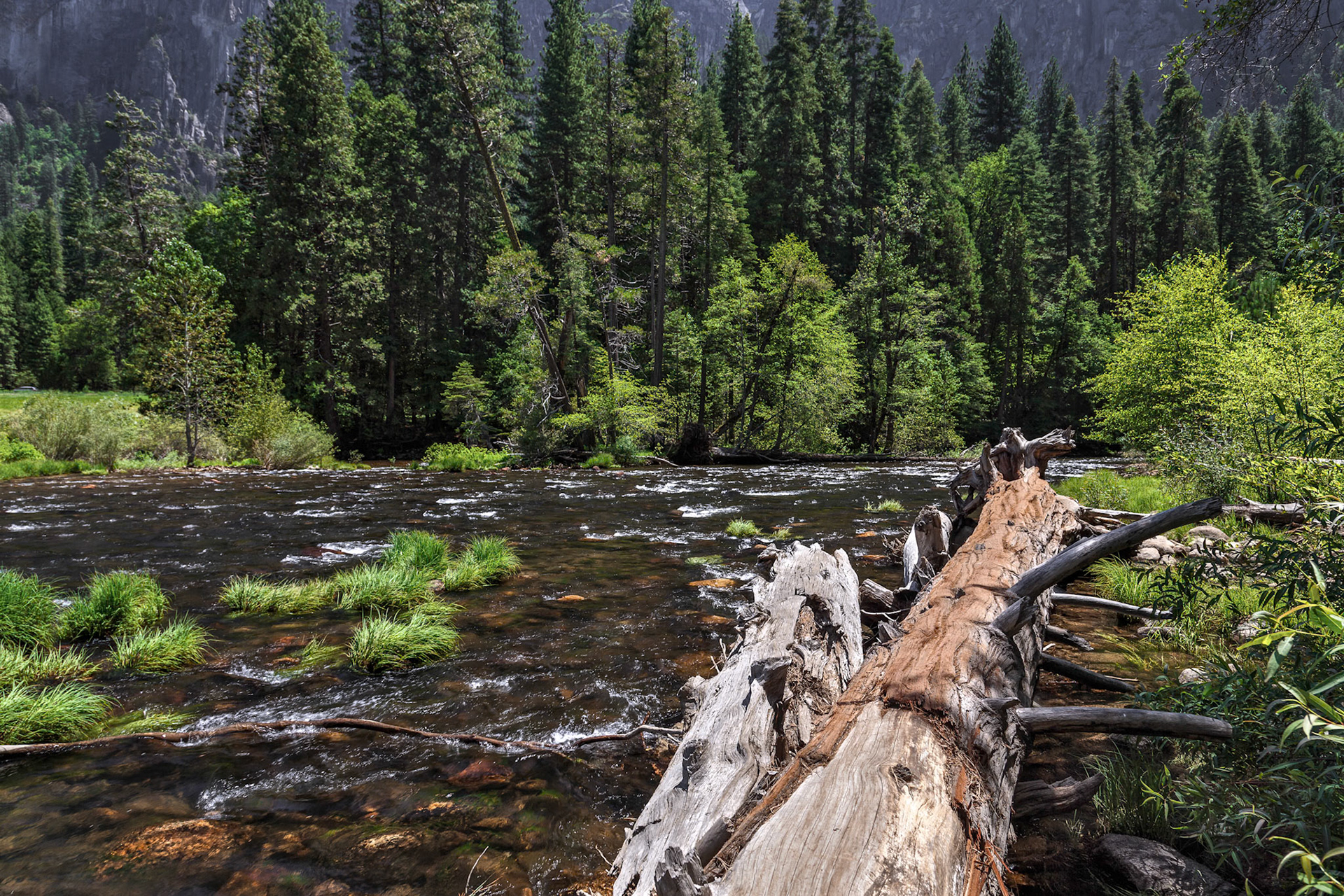 Yosemite Landscape