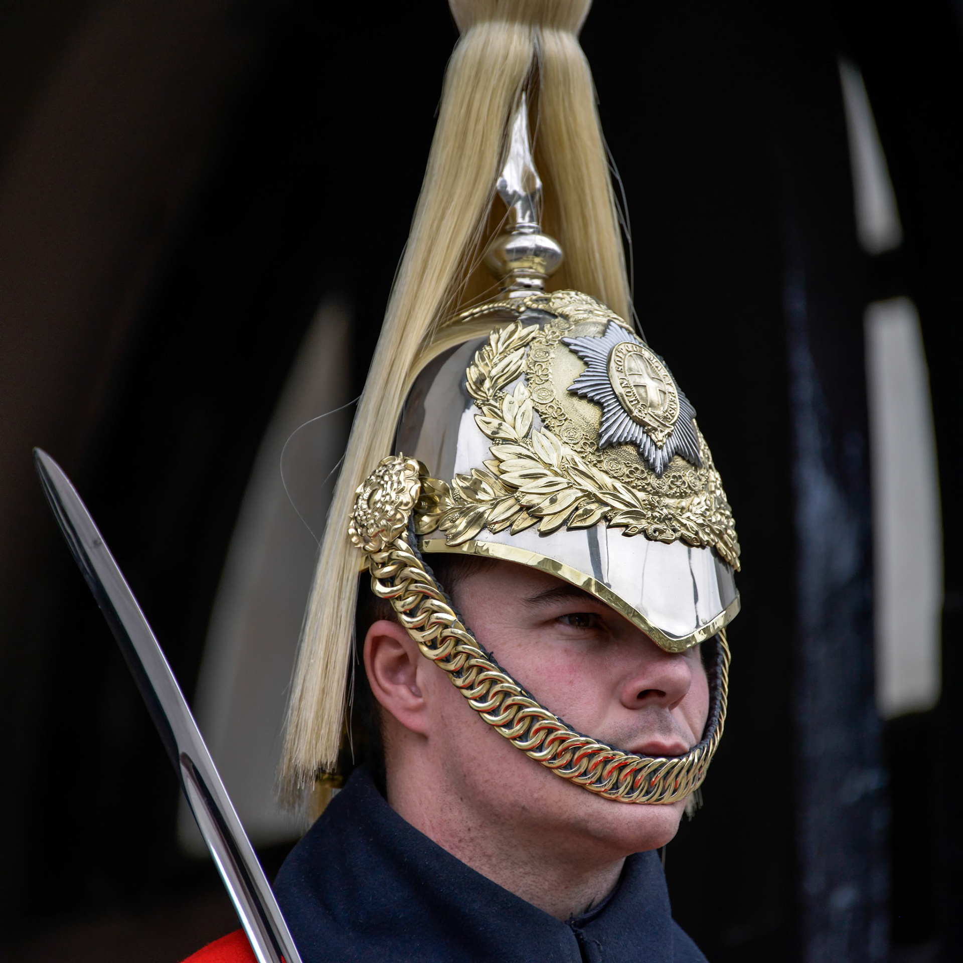 Lifeguard of the Queens Household Cavalry