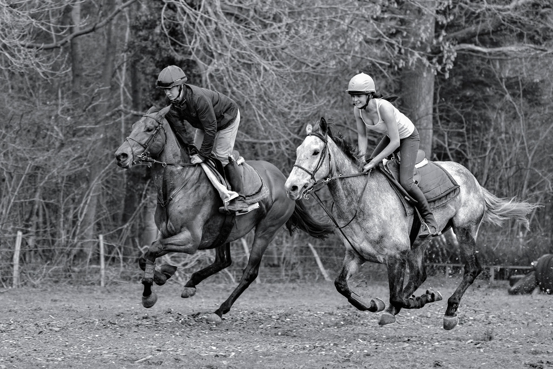 Horse Riding