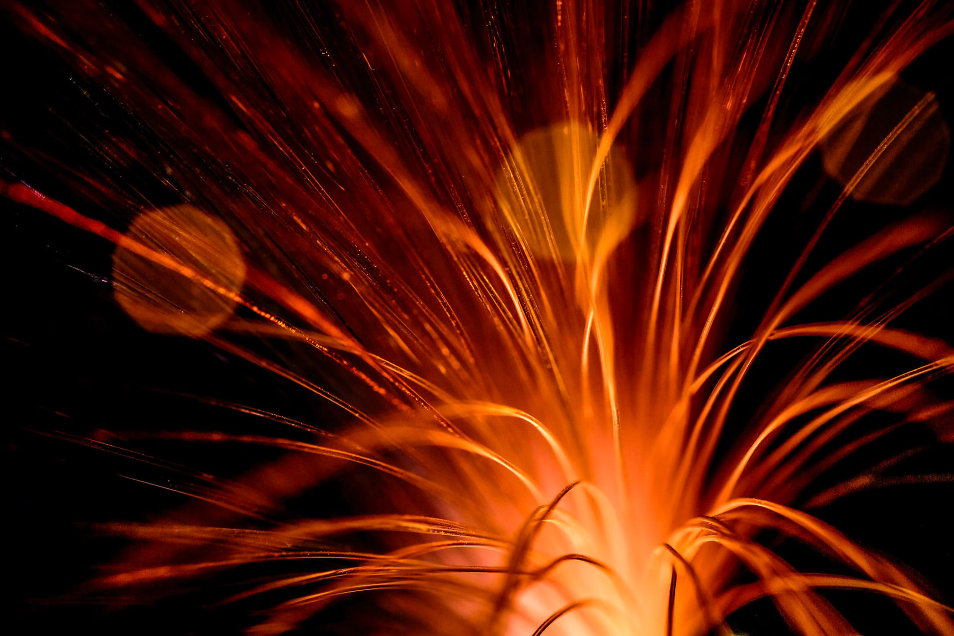 Fibre Optic Abstract