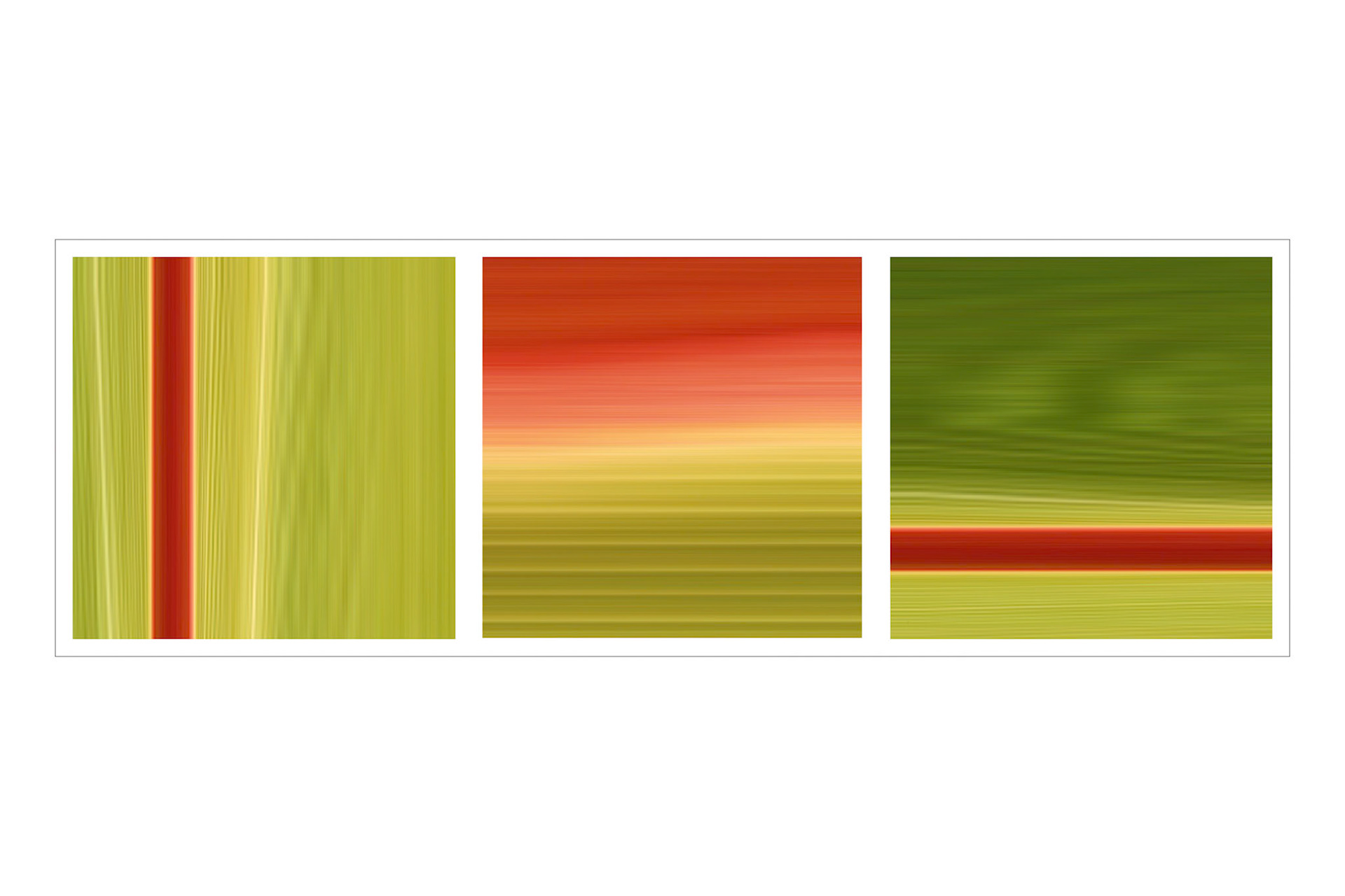 A Leaf Abstract