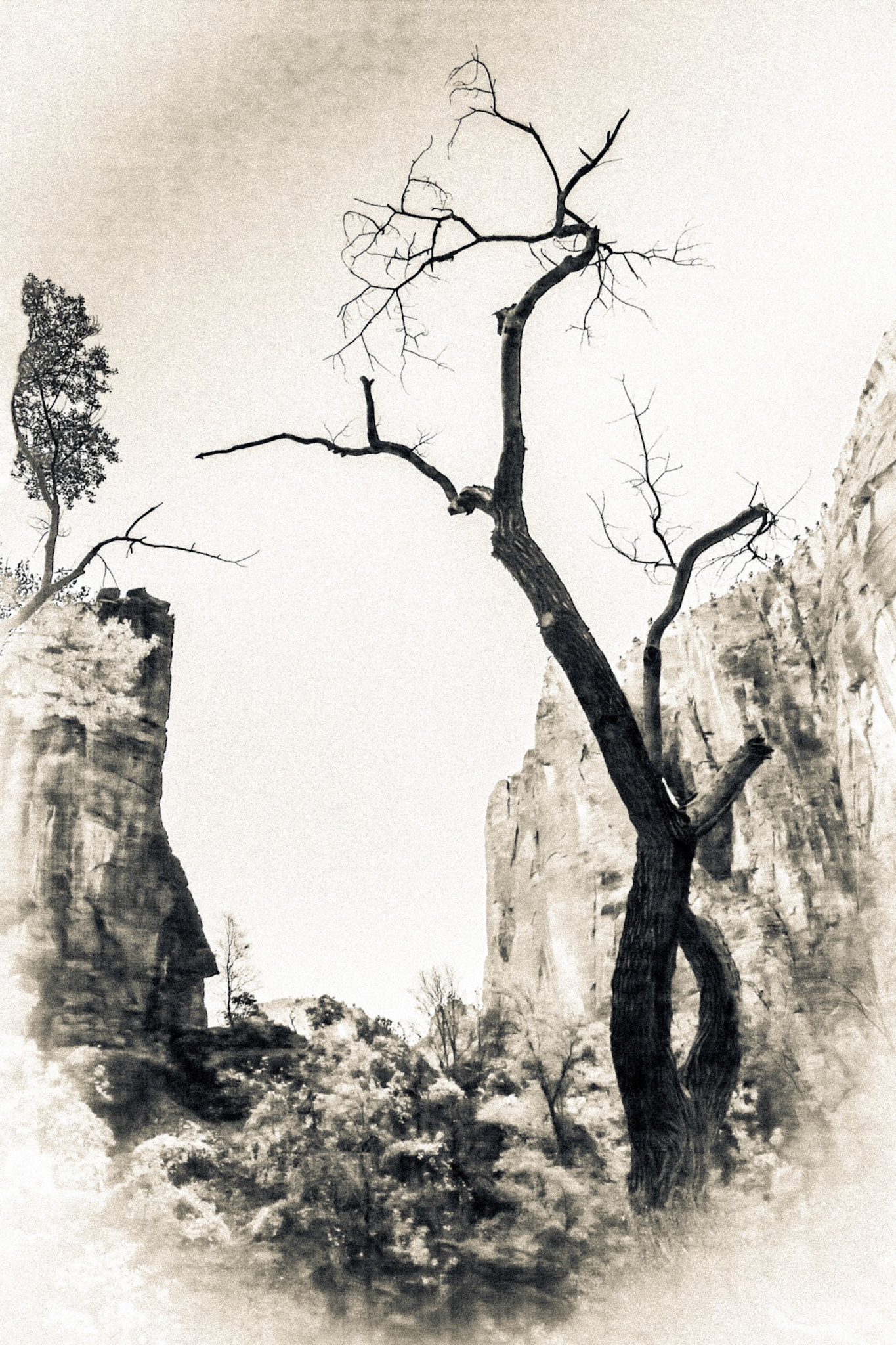 Zion Canyon
