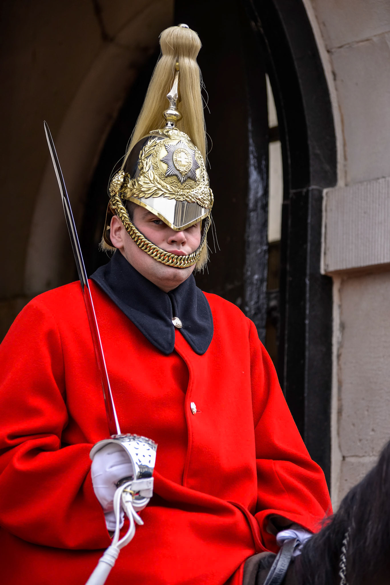 Lifeguard of the Queens Household Cavalry