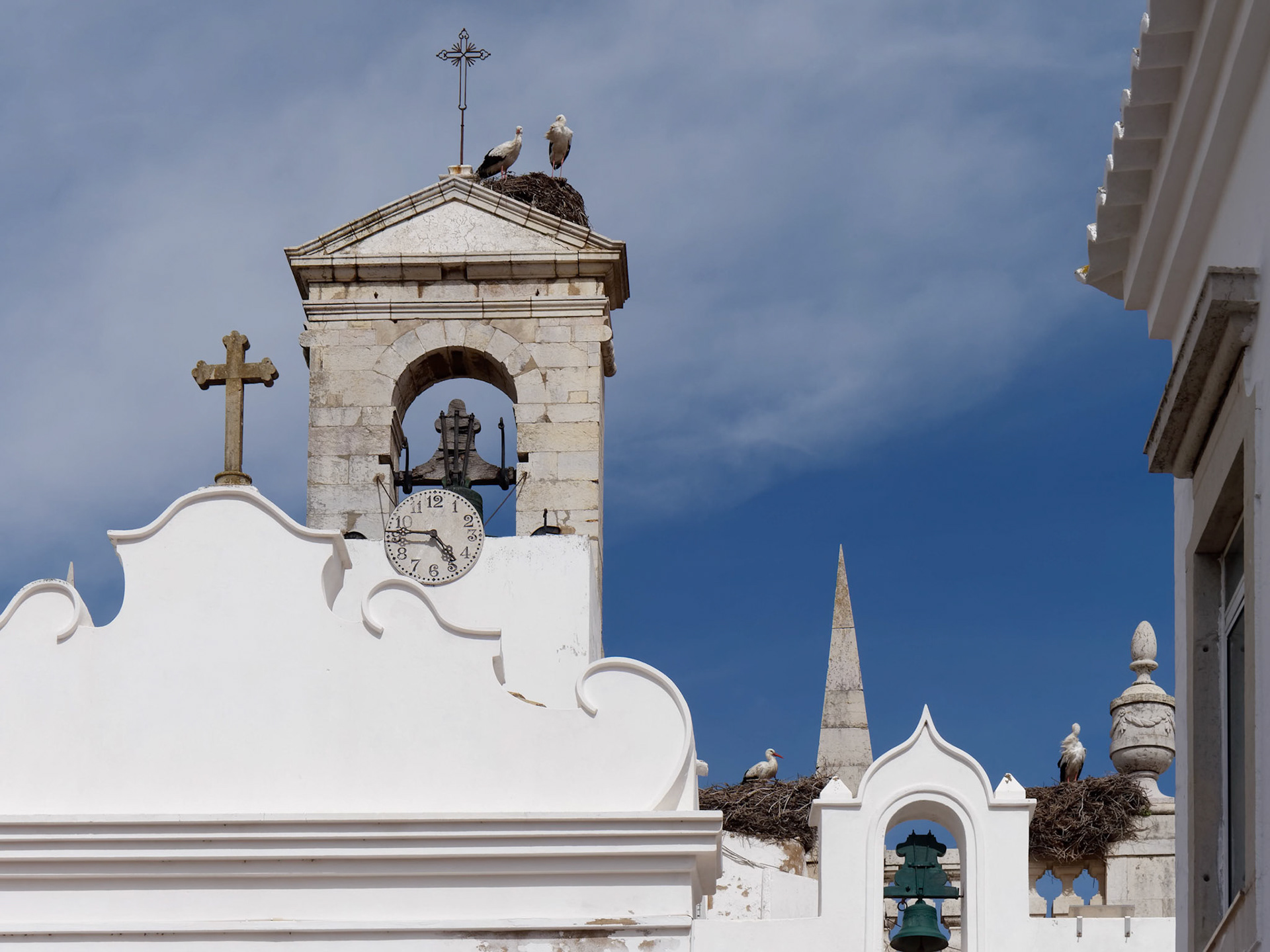 FARO, SOUTHERN ALGARVE/PORTUGAL - MARCH 7 : Storks  at Faro in Portugal on March 7, 2018