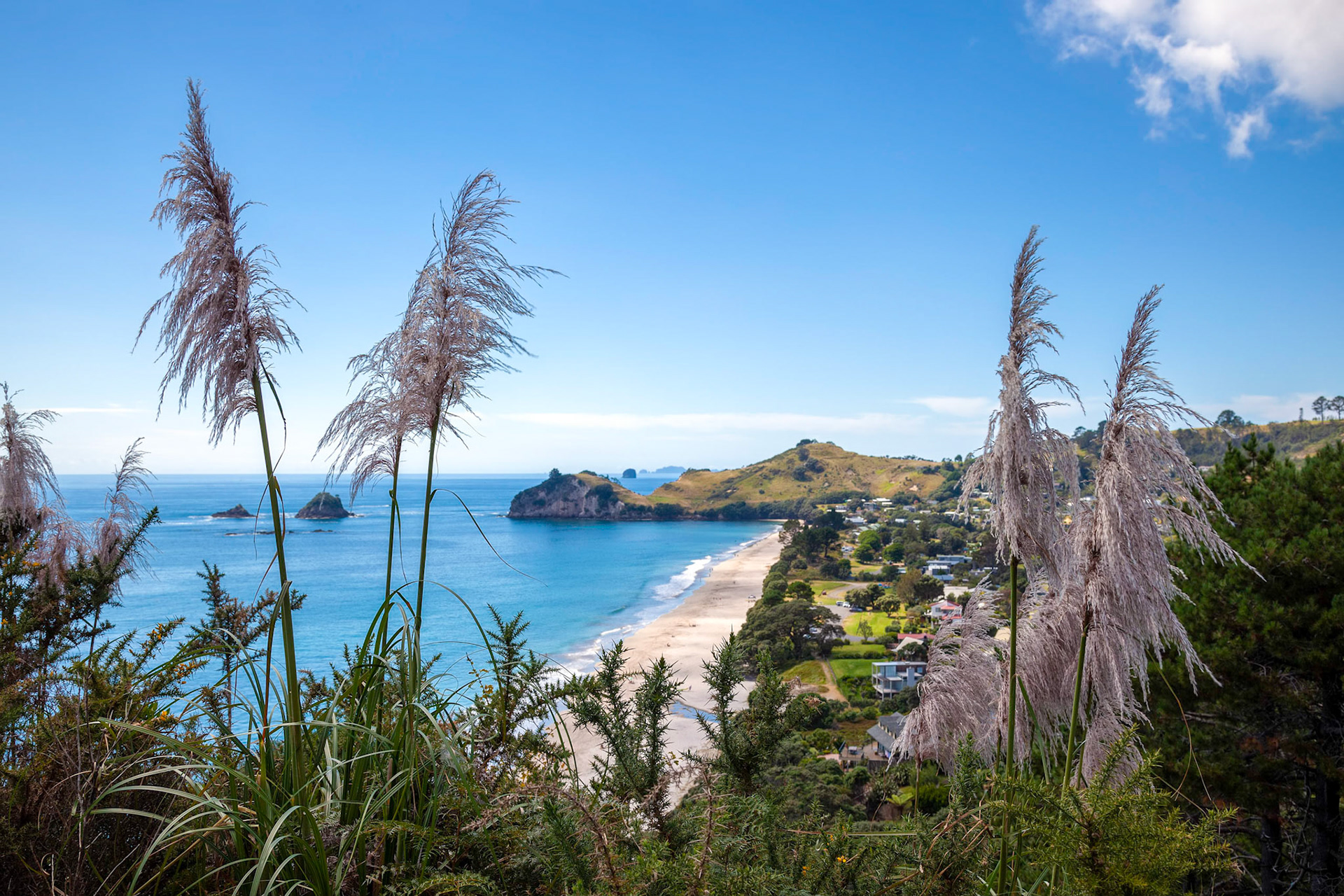 View of Hahei