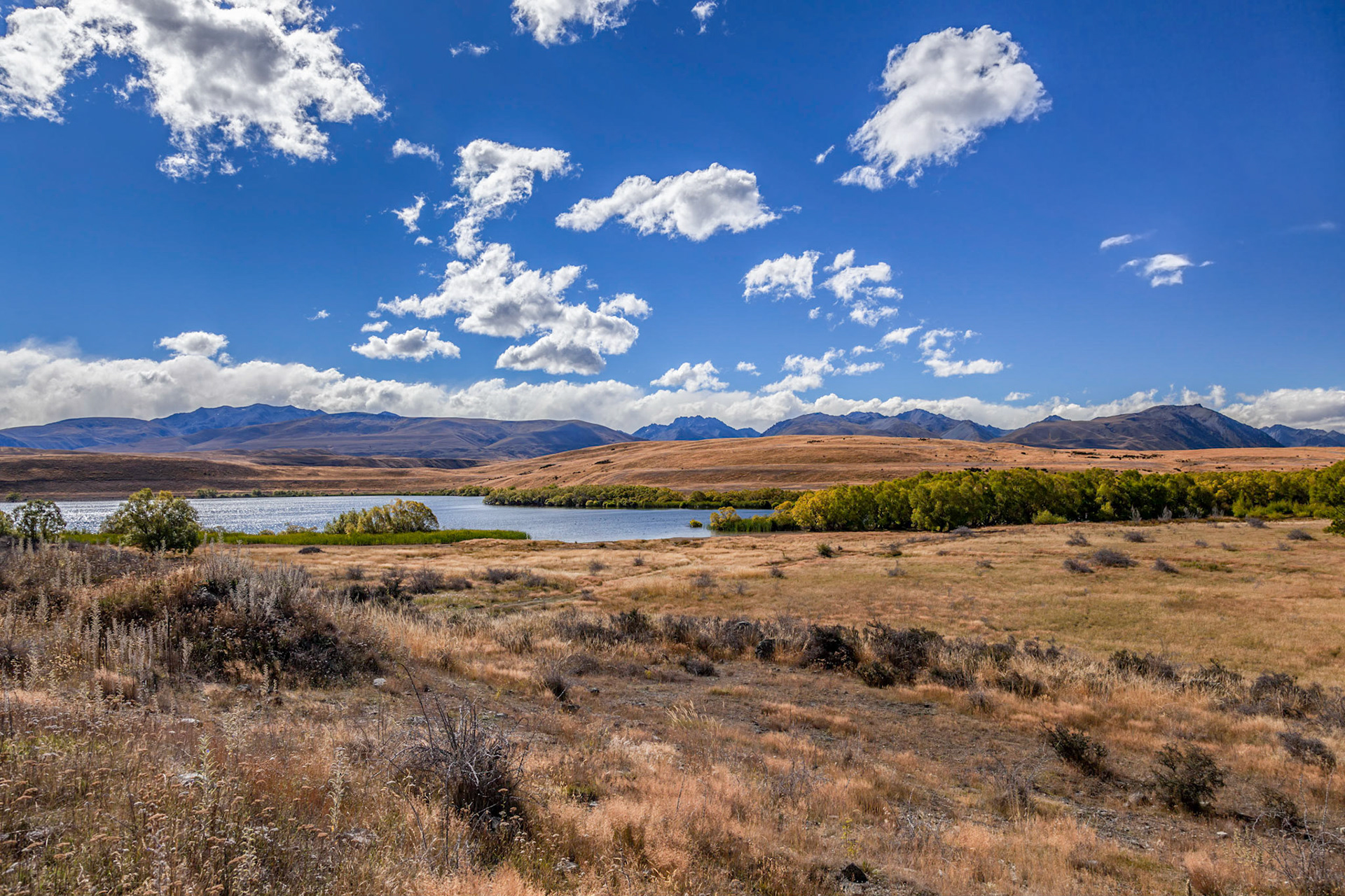 Distant View of Lake Tekapo on a Summer's afternoon