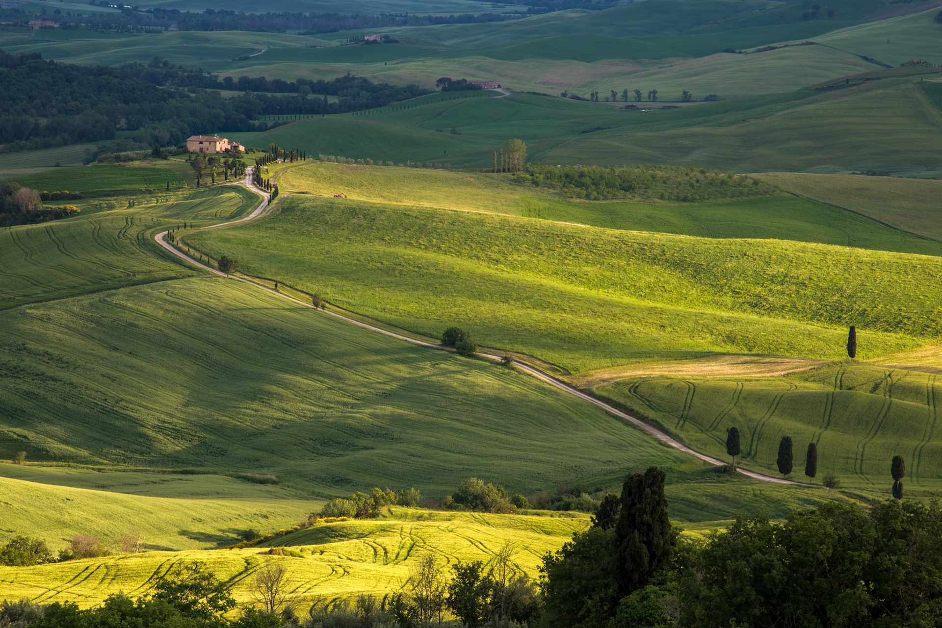 Gladiator Fields