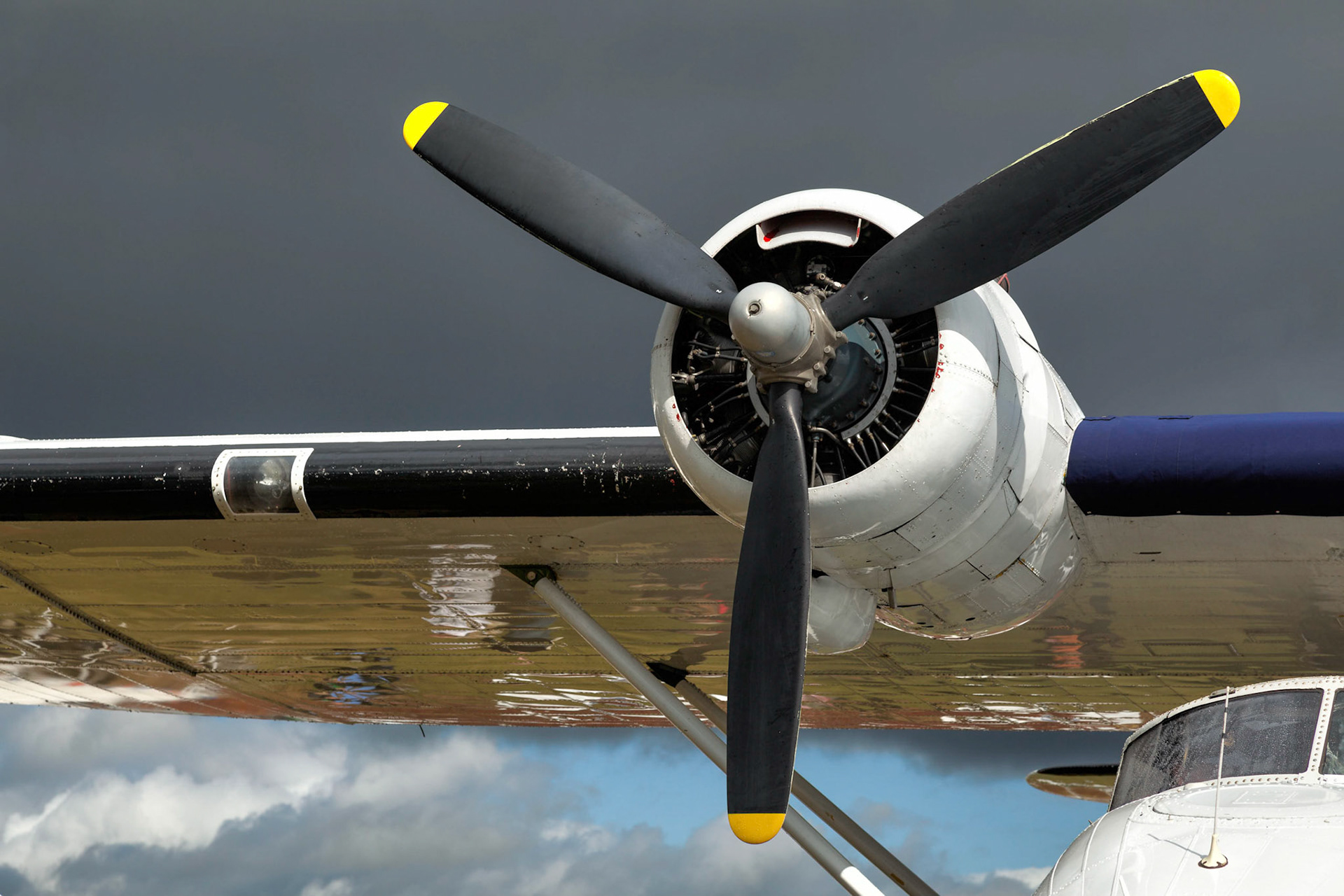 Close-up of a Catalina Flying Boat