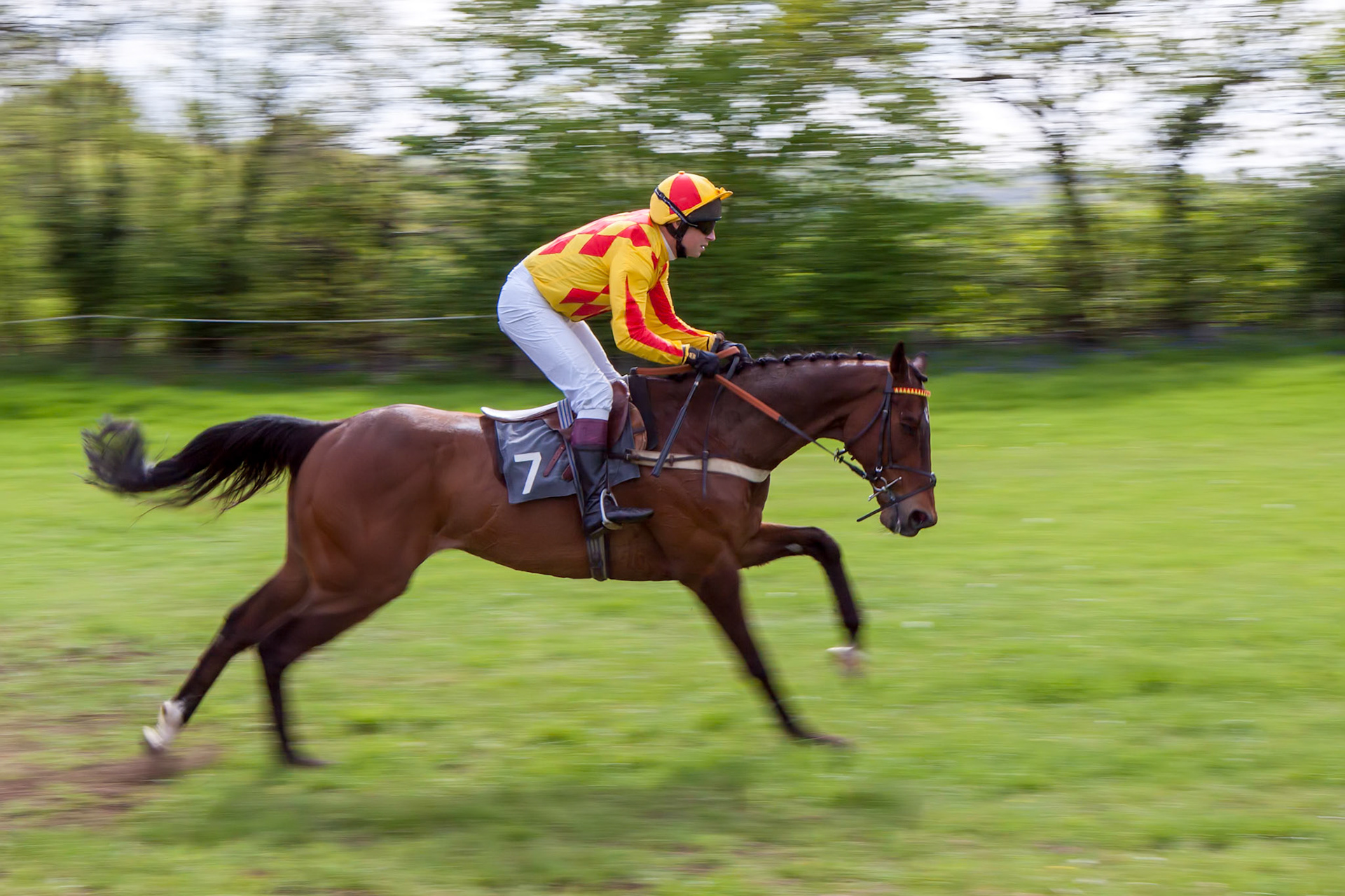 GODSTONE, SURREY/UK - MAY 2 : Point to point racing at Godstone Surrey on May 2, 2009. Unidentified man