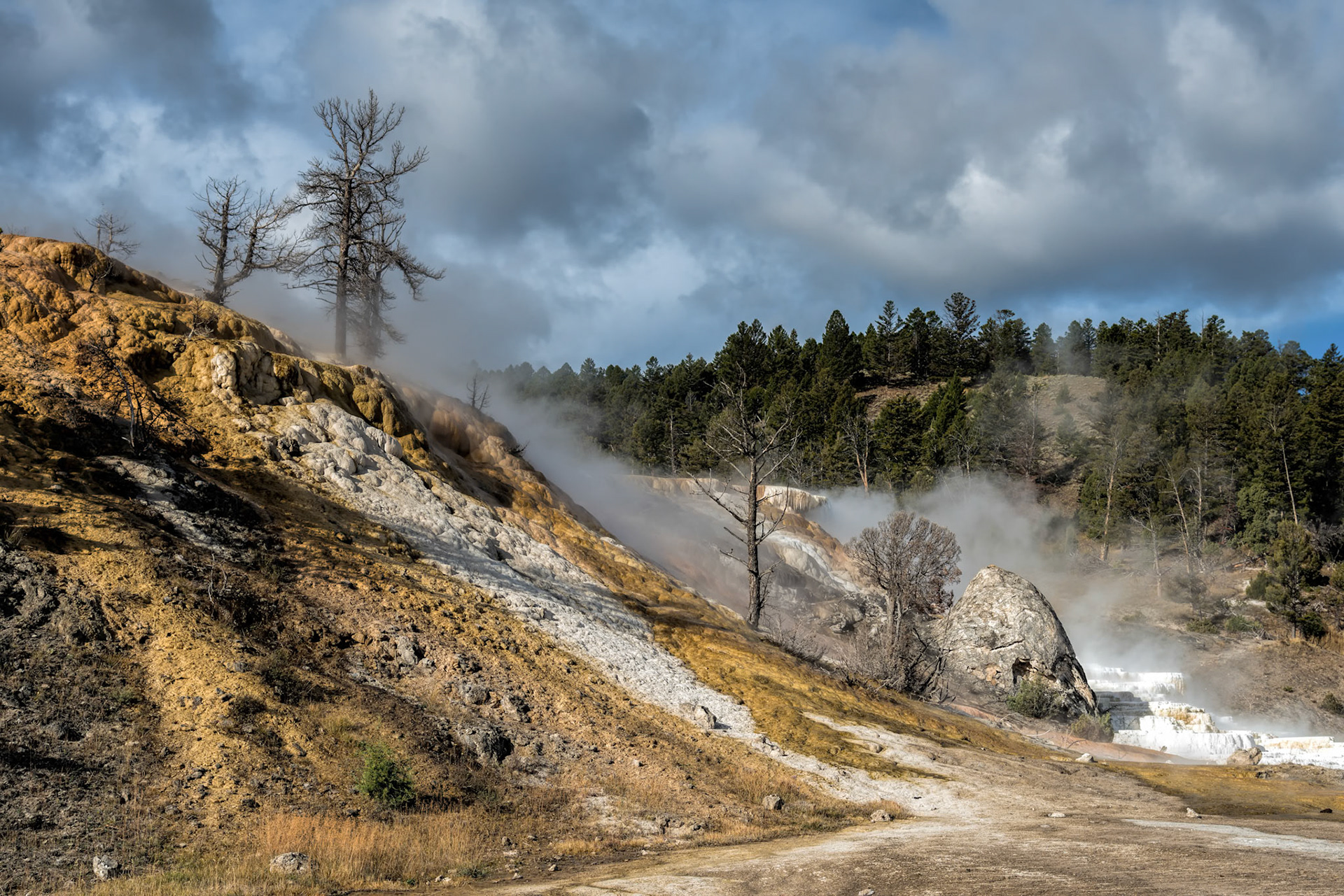 Mammoth Hot Springs