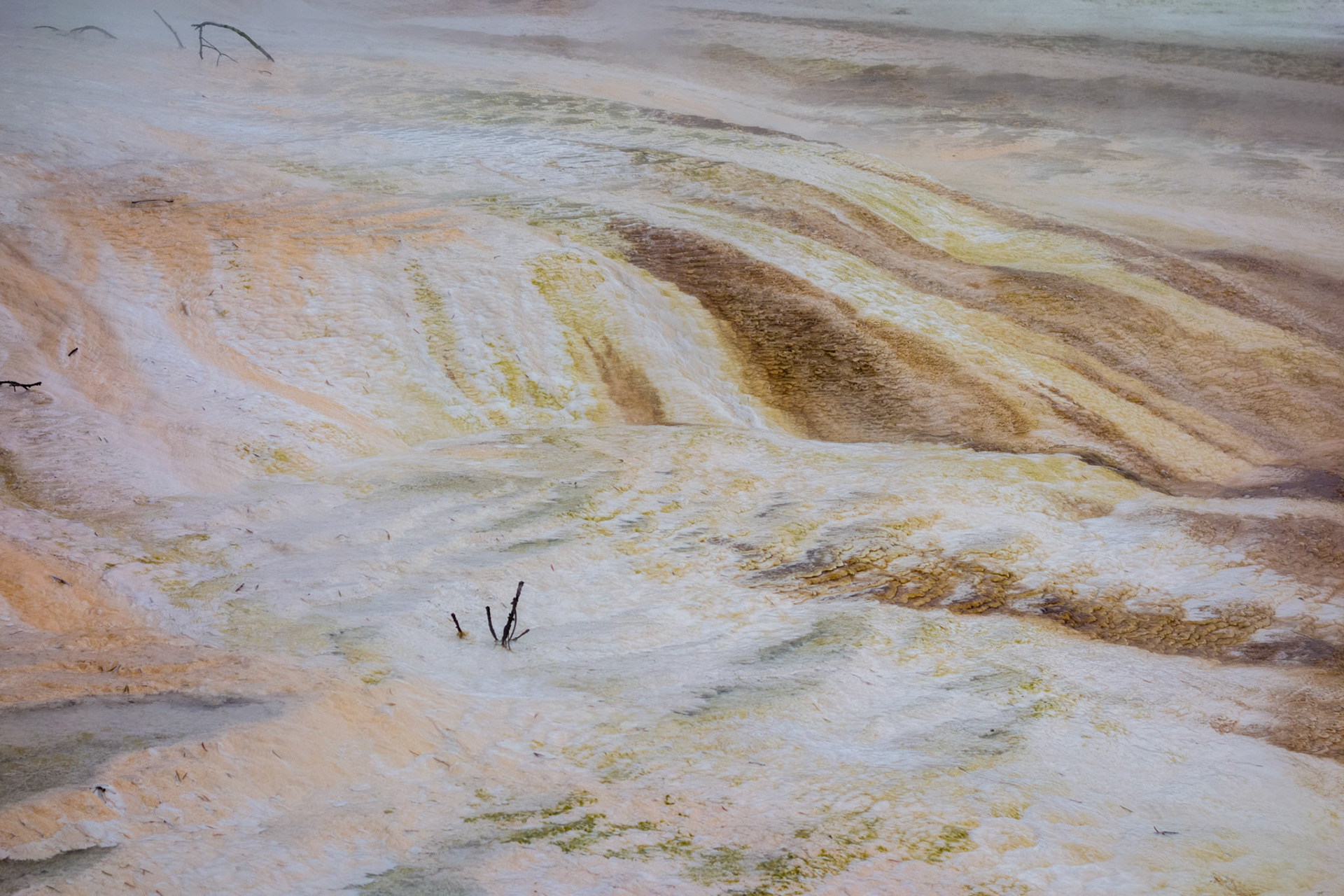 Mammoth Hot Springs