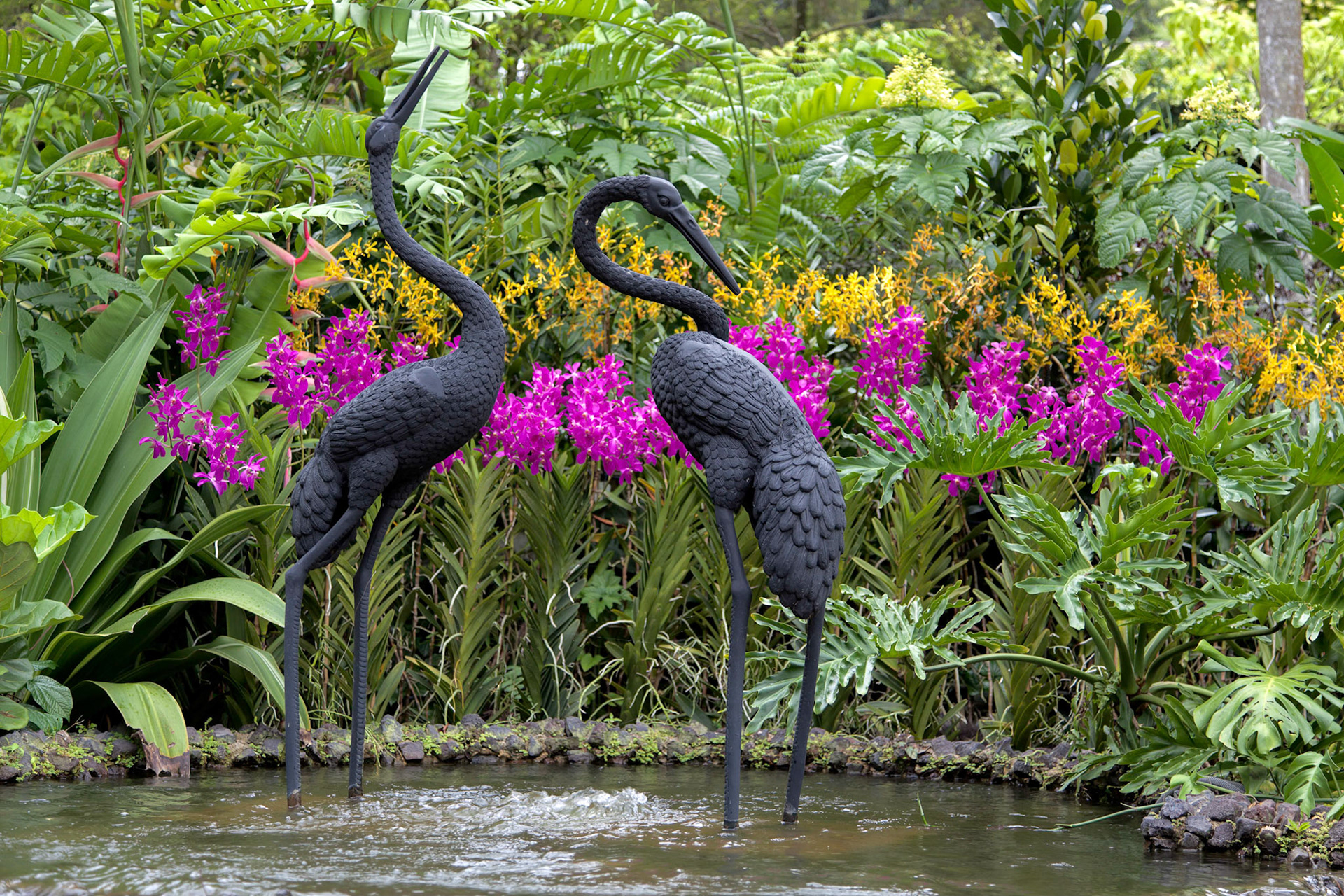 Singapore Botanical Garden