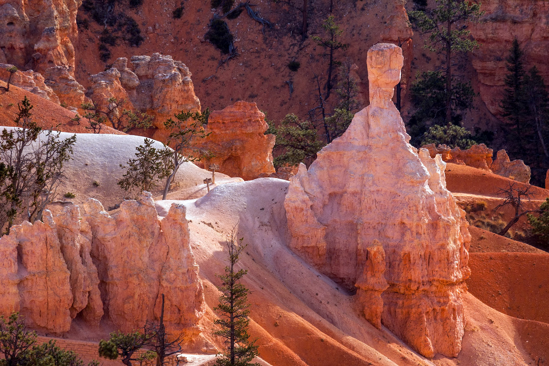 Scenic View of Bryce Canyon