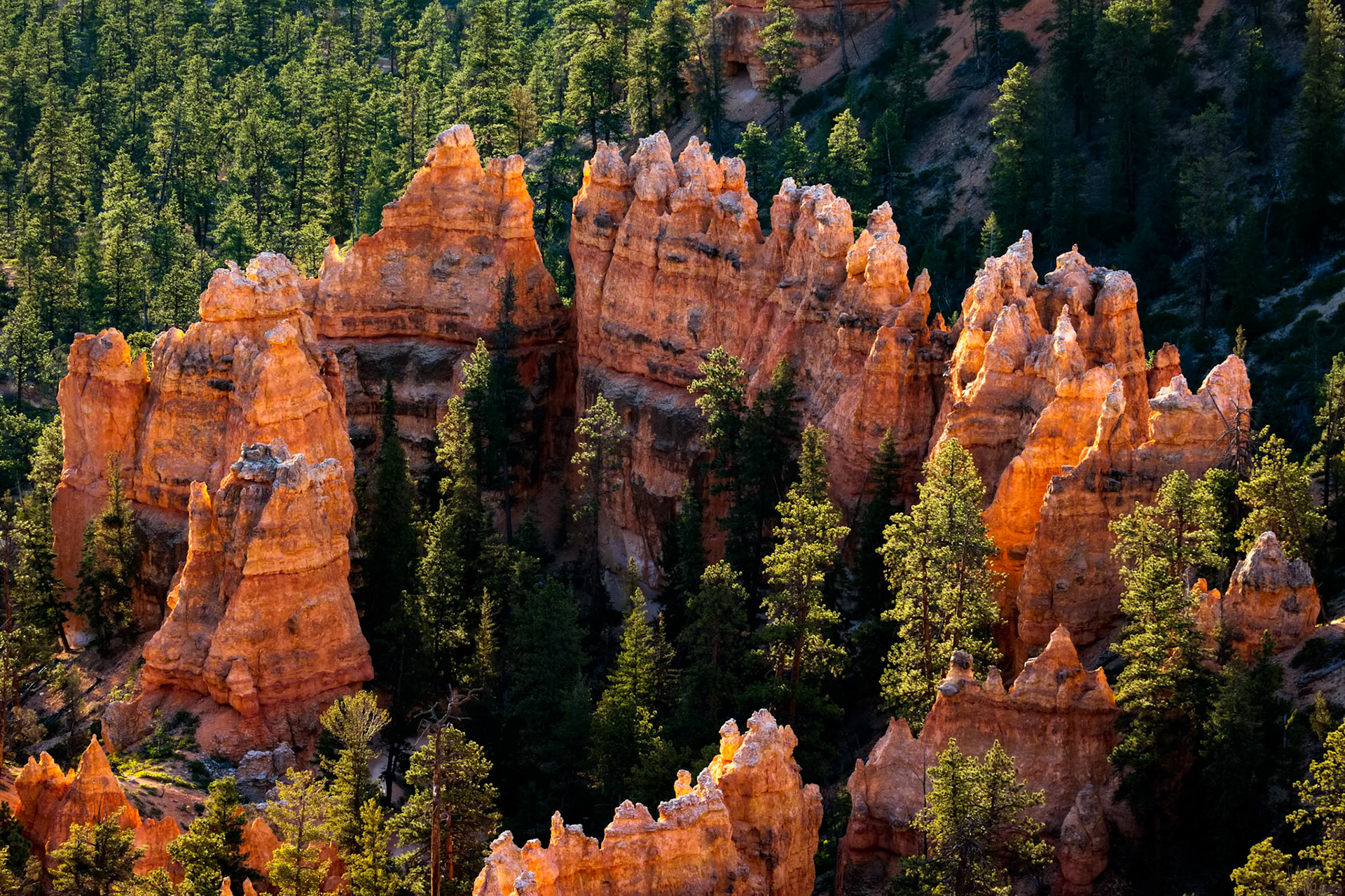 Ring of Orange Rocks