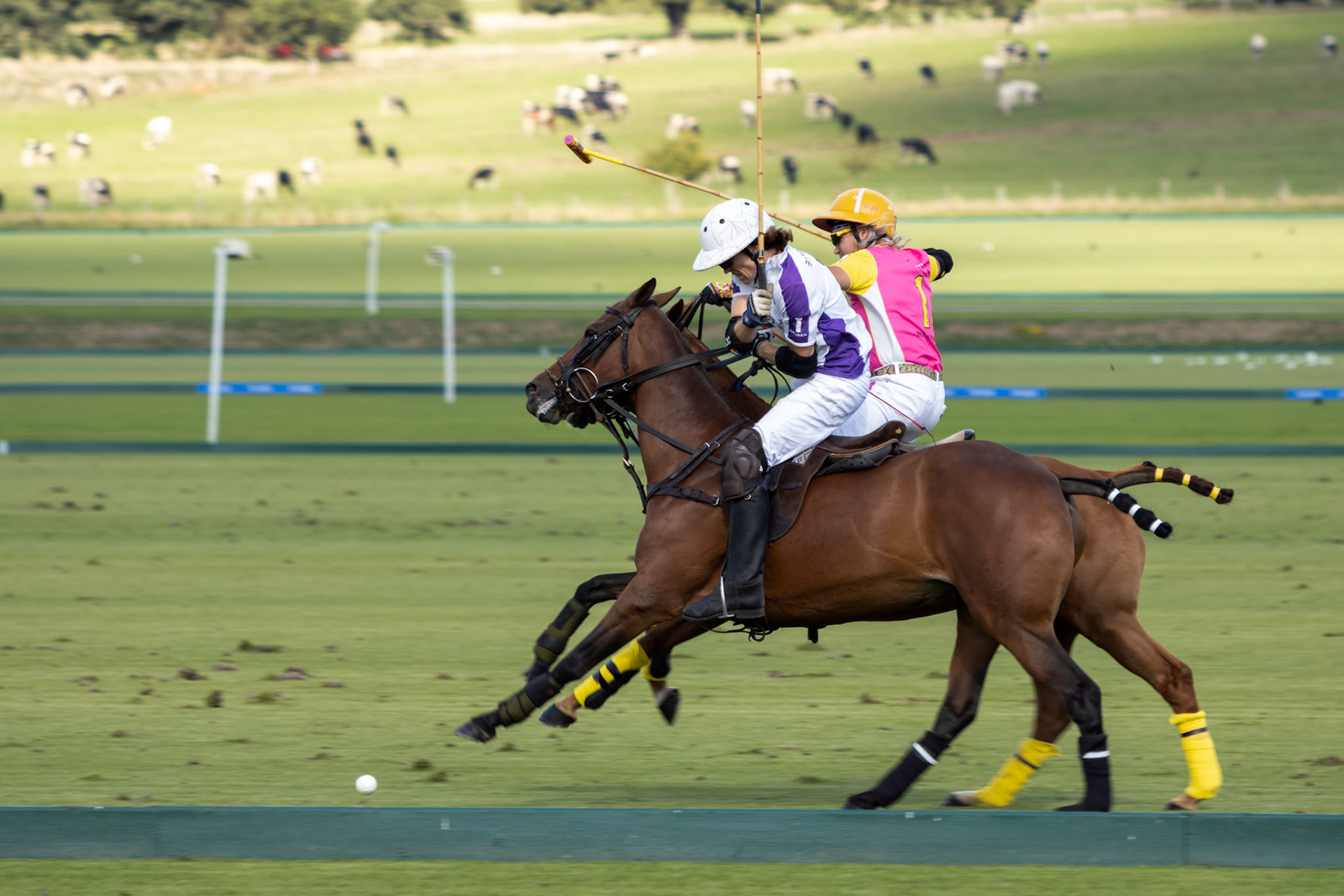 MIDHURST, WEST SUSSEX/UK - SEPTEMBER 1 : Playing polo in Midhurst, West Sussex on September 1, 2020. Two unidentified people