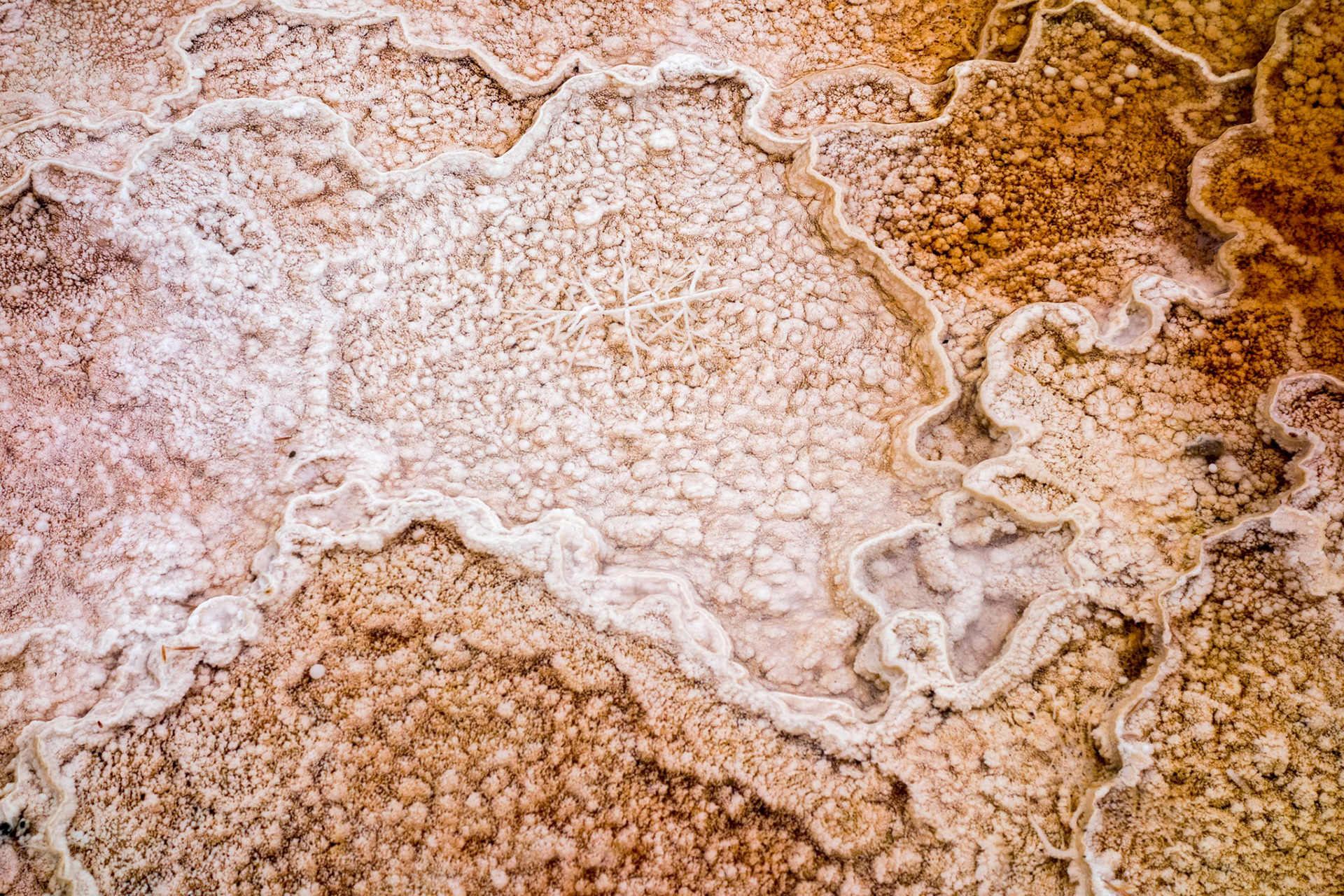 Mammoth Hot Springs