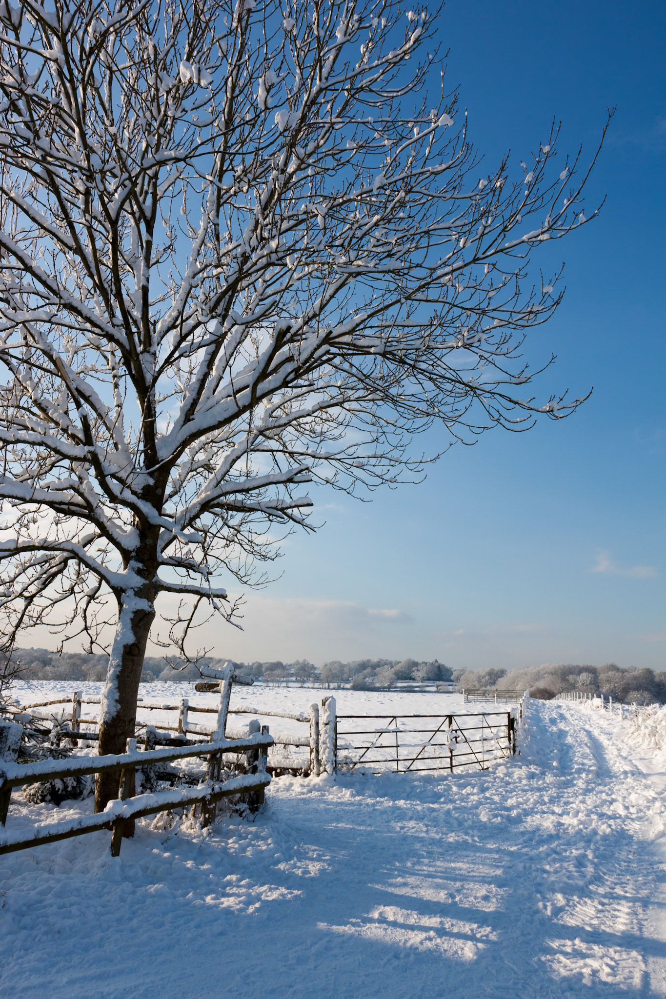 Winter scene in East Grinstead